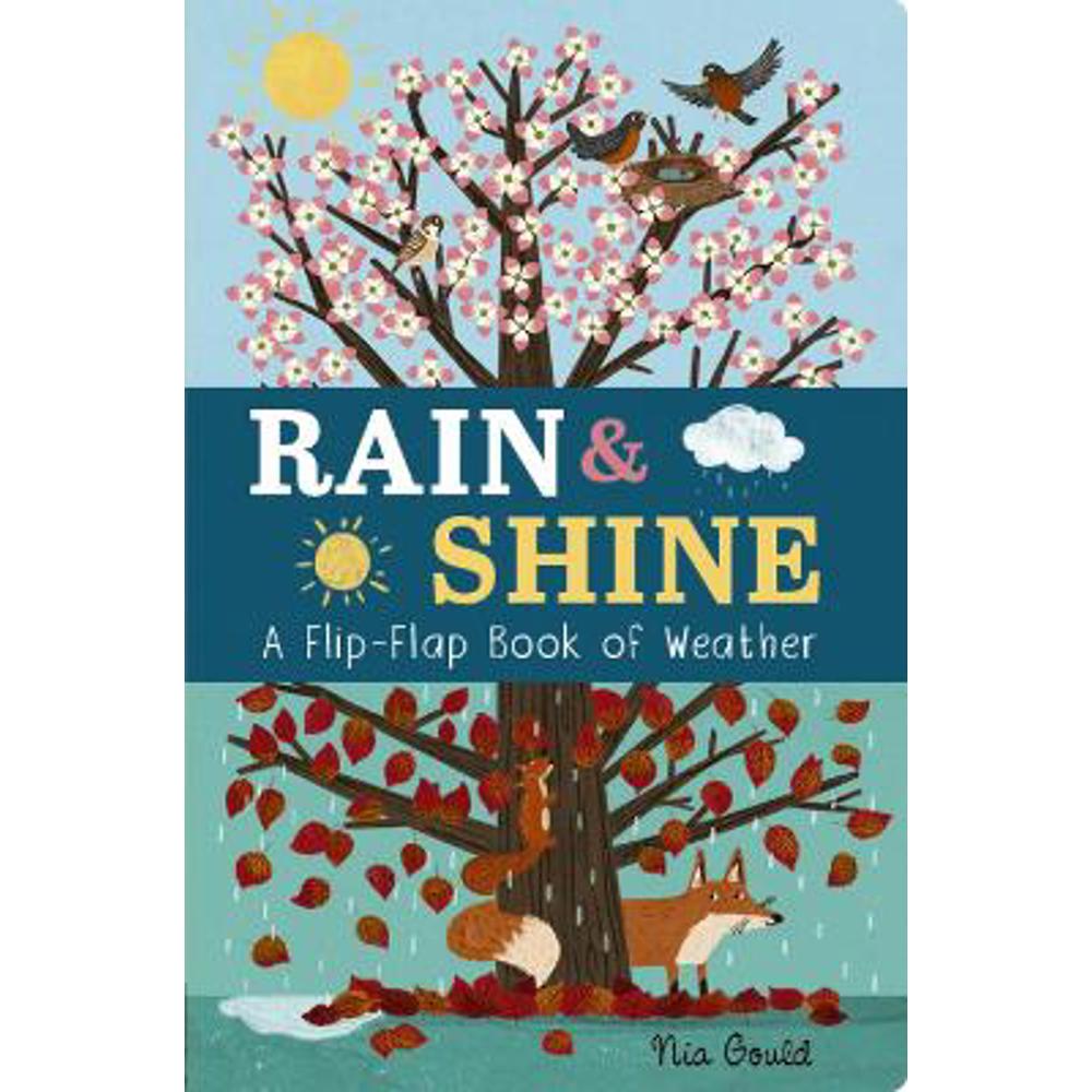 Rain & Shine: A Flip-Flap Book of Weather - Molly Littleboy